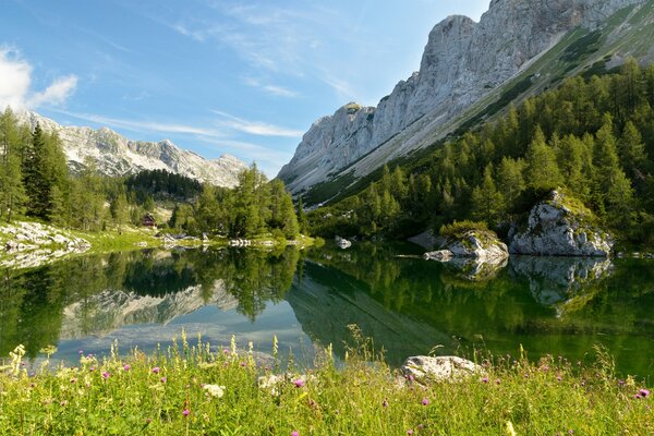 Lago di Bohinj nel Parco Nazionale della Slovenia