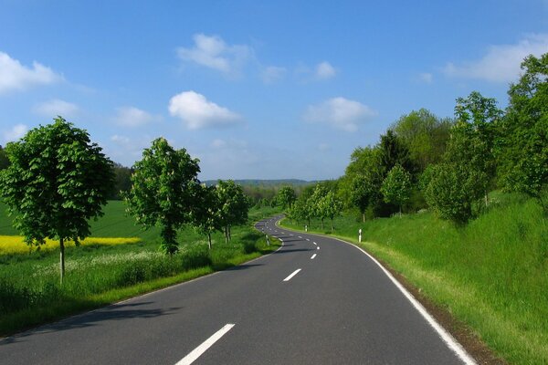 Strada che si estende in lontananza sullo sfondo degli alberi