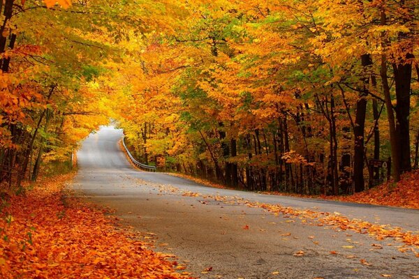 Herbststraße, die in die Ferne führt