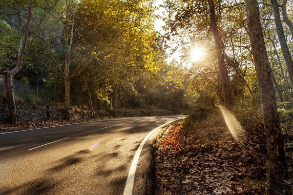 Herbststraße mit schöner Landschaft