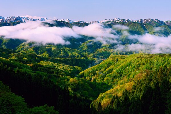 Mañana de primavera y niebla en las montañas de Japón