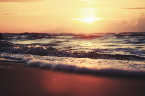 Beautiful sunset on the seashore