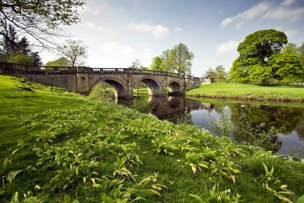 Rivière pont herbe paysage