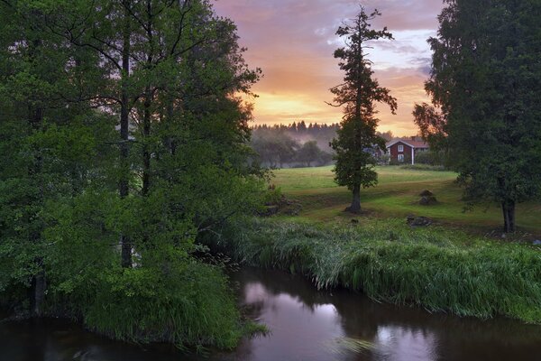 Arbres près de la rivière sur fond de beau coucher de soleil