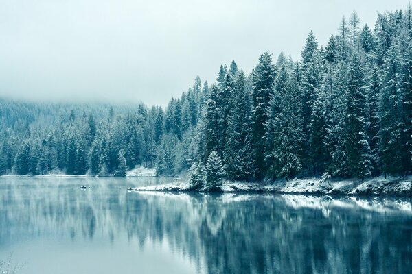 Forests of British Columbia in the Kootenay River