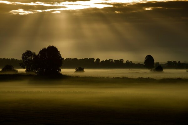 Die Sonnenstrahlen gehen in den Nebel hinab