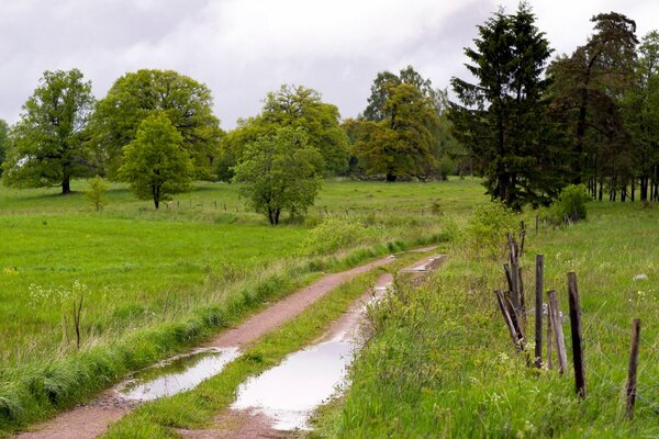 Village outskirts - fields and copses