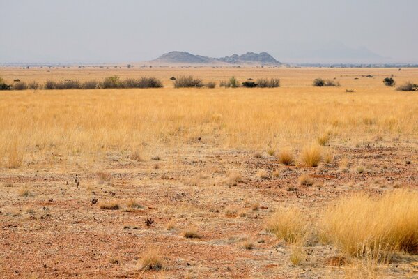 Desert with mountain view