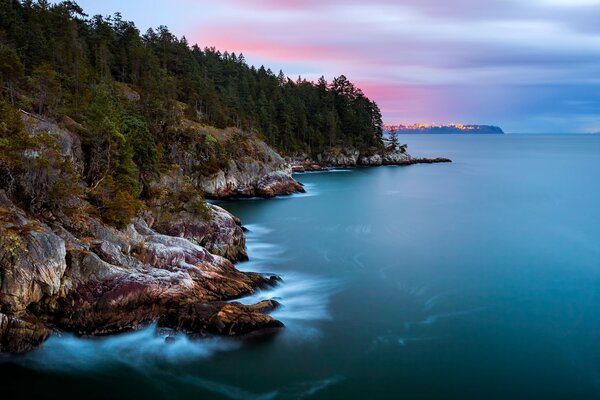 Coast with trees on rocks in Canada