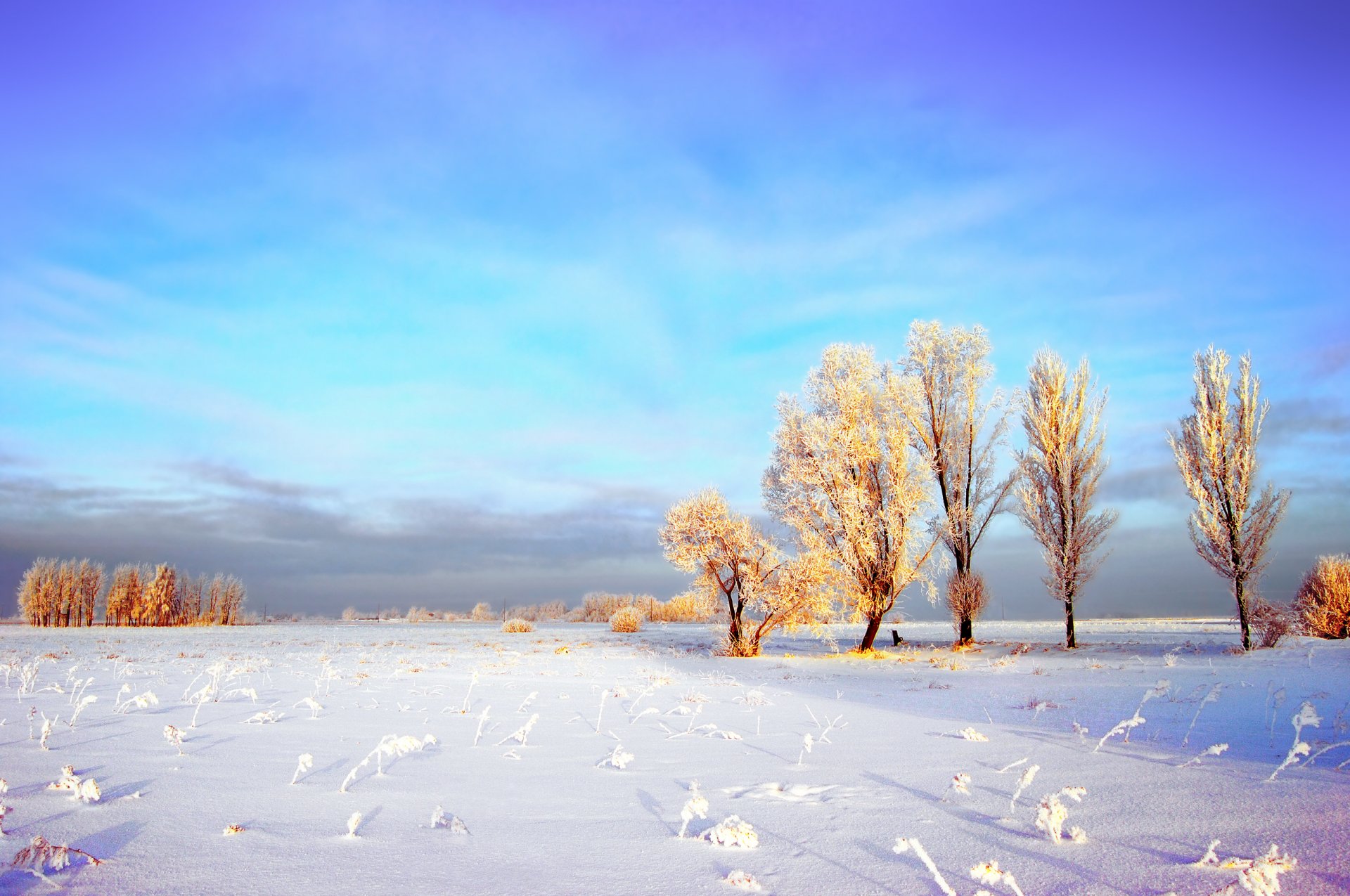 winter himmel wolken feld schnee bäume frost