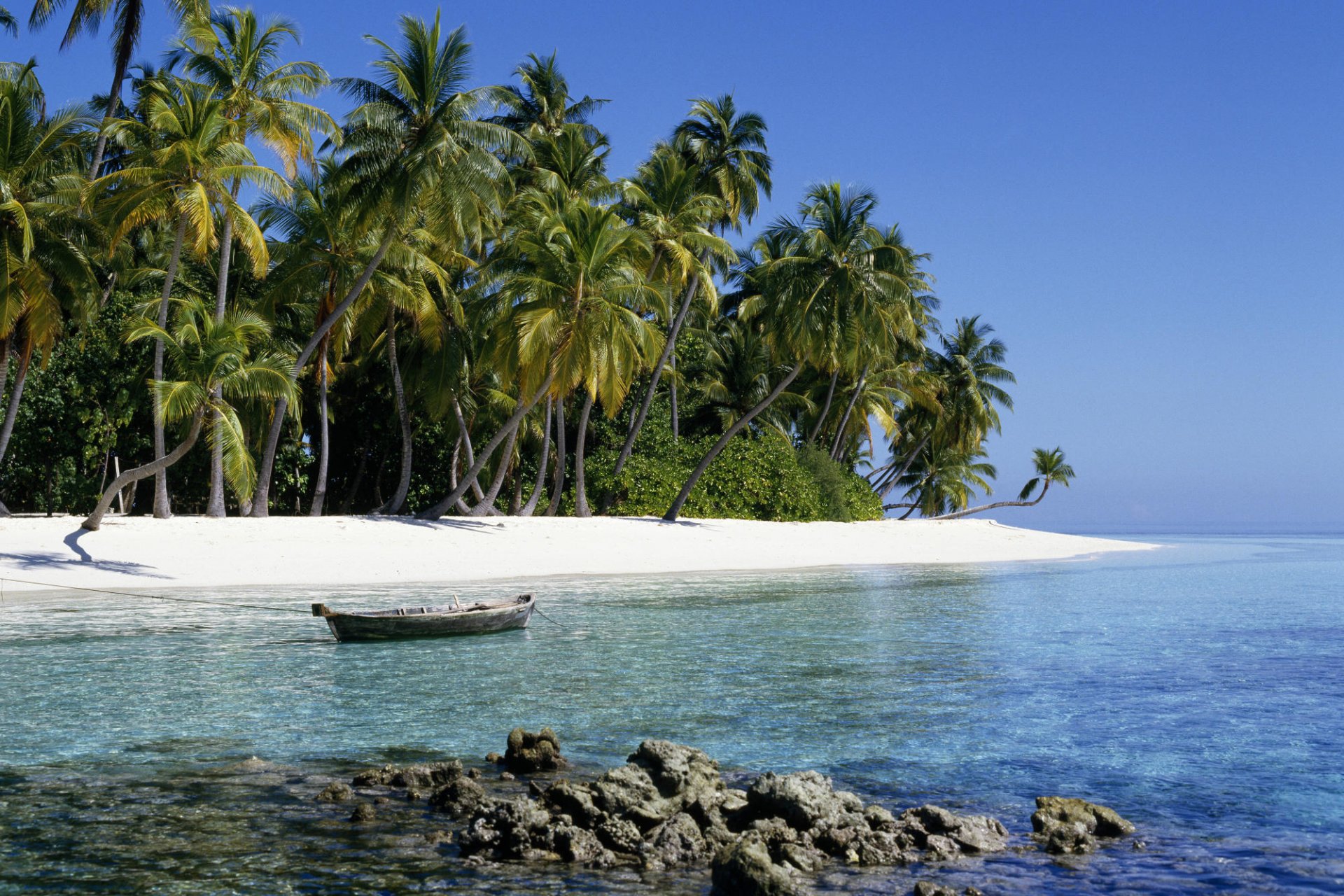 océano índico maldivas palmeras arena exotic vacaciones relajarse