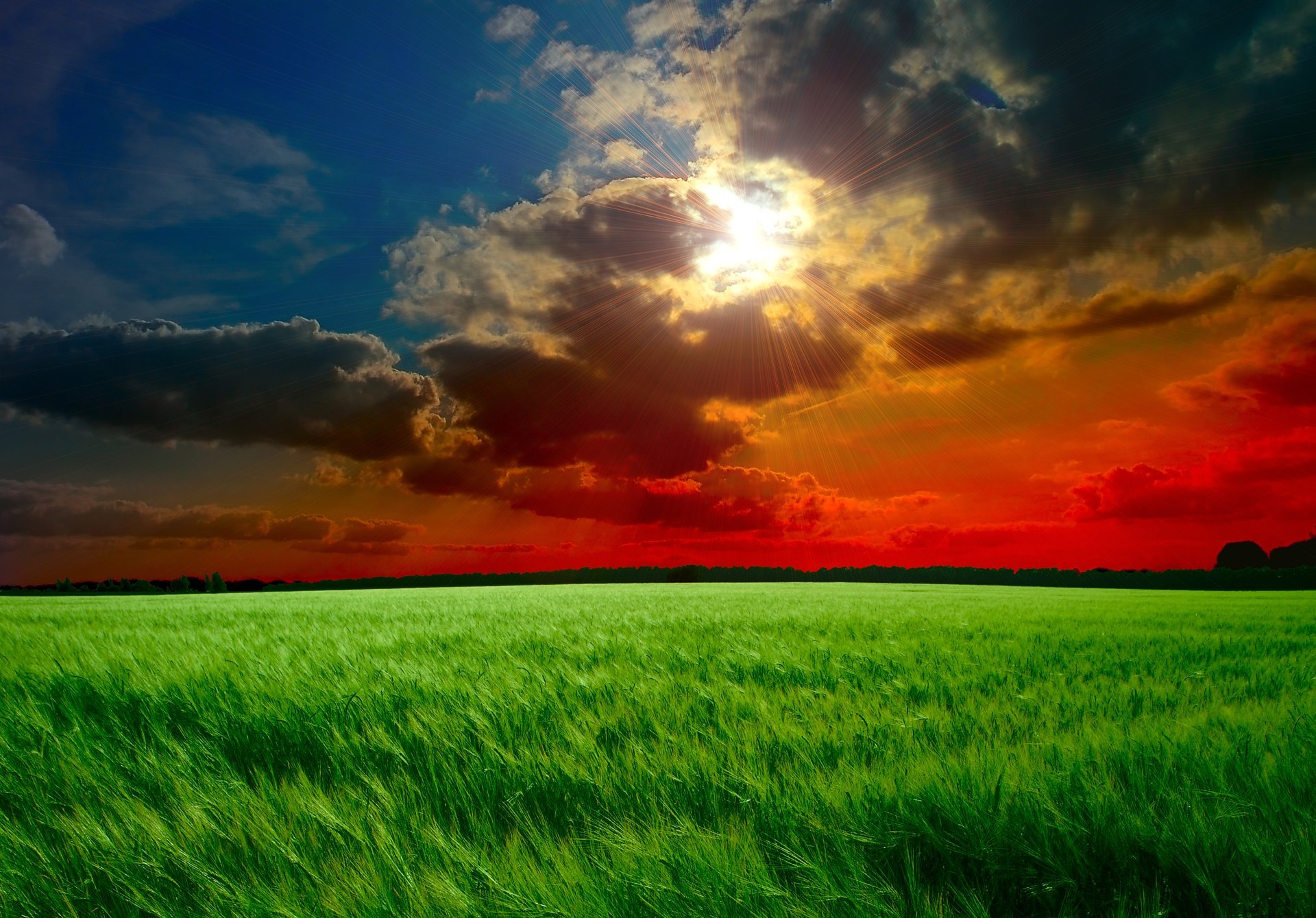 unset sky sun rays clouds clouds field ears green gra