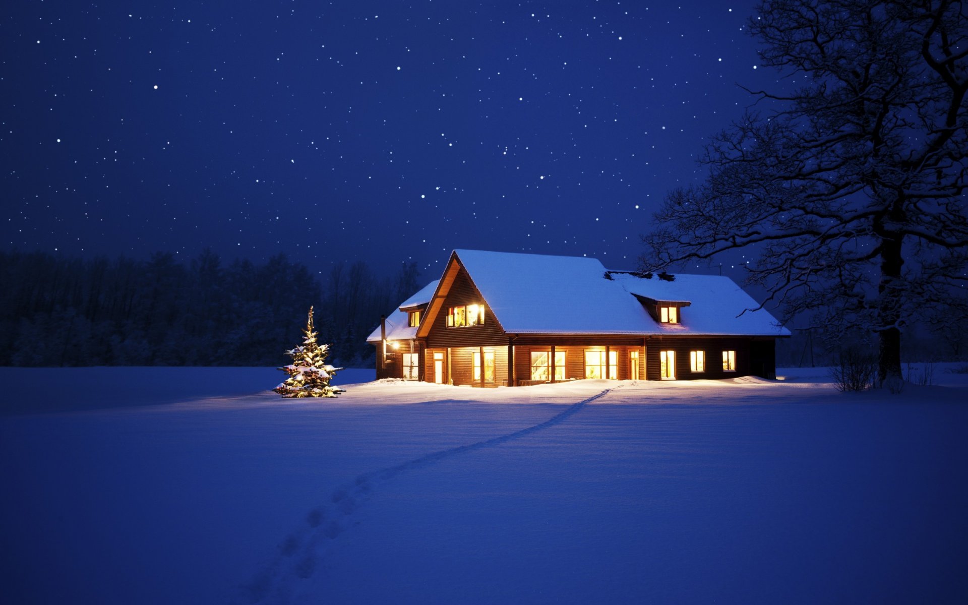 naturaleza paisaje nieve árboles invierno casa noche navidad año nuevo