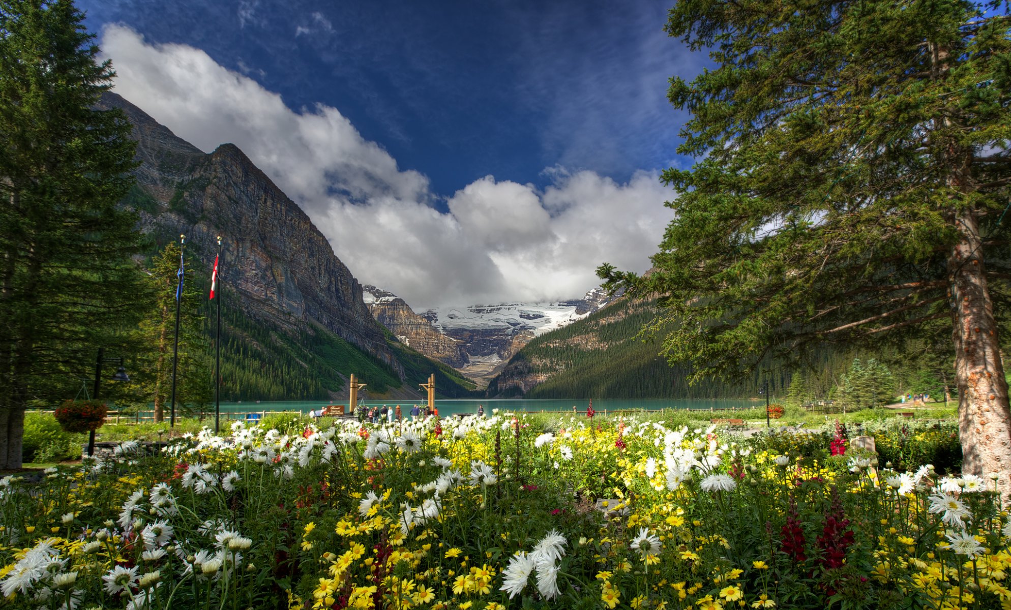 lac louise parc national banff canada montagnes lac fleurs arbres nature