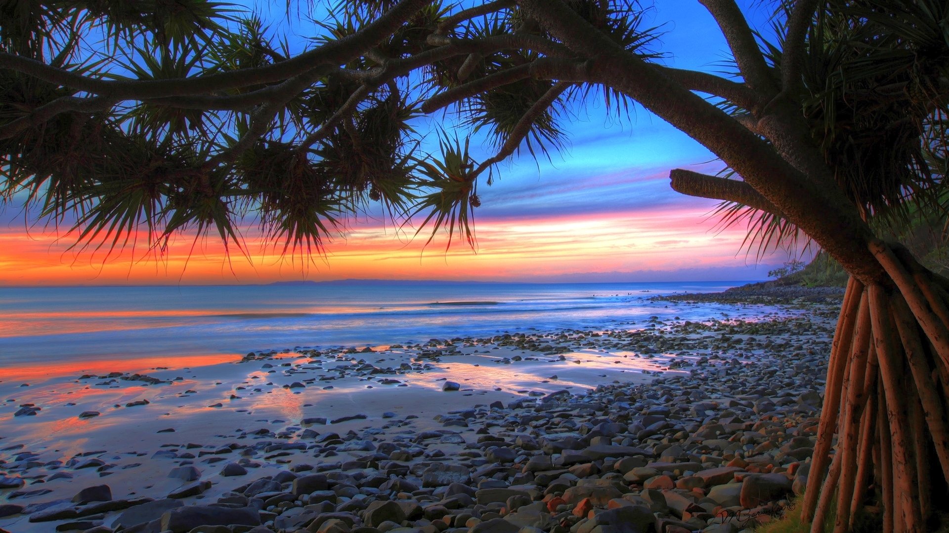 costa albero palma sabbia rocce surf costa mare oceano orizzonte cielo nuvole tramonto