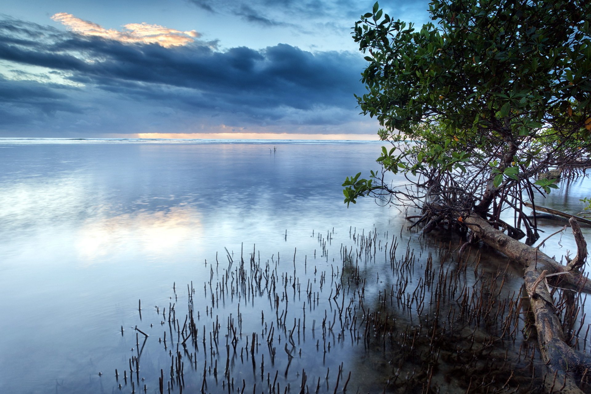 lake tree sky landscape