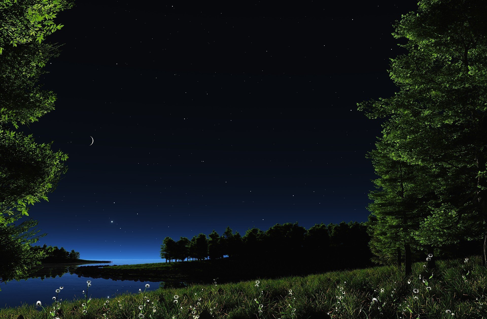 paysage nature nuit ciel étoiles lune herbe verdure plantes marguerites fleurs eau rivière lac étang