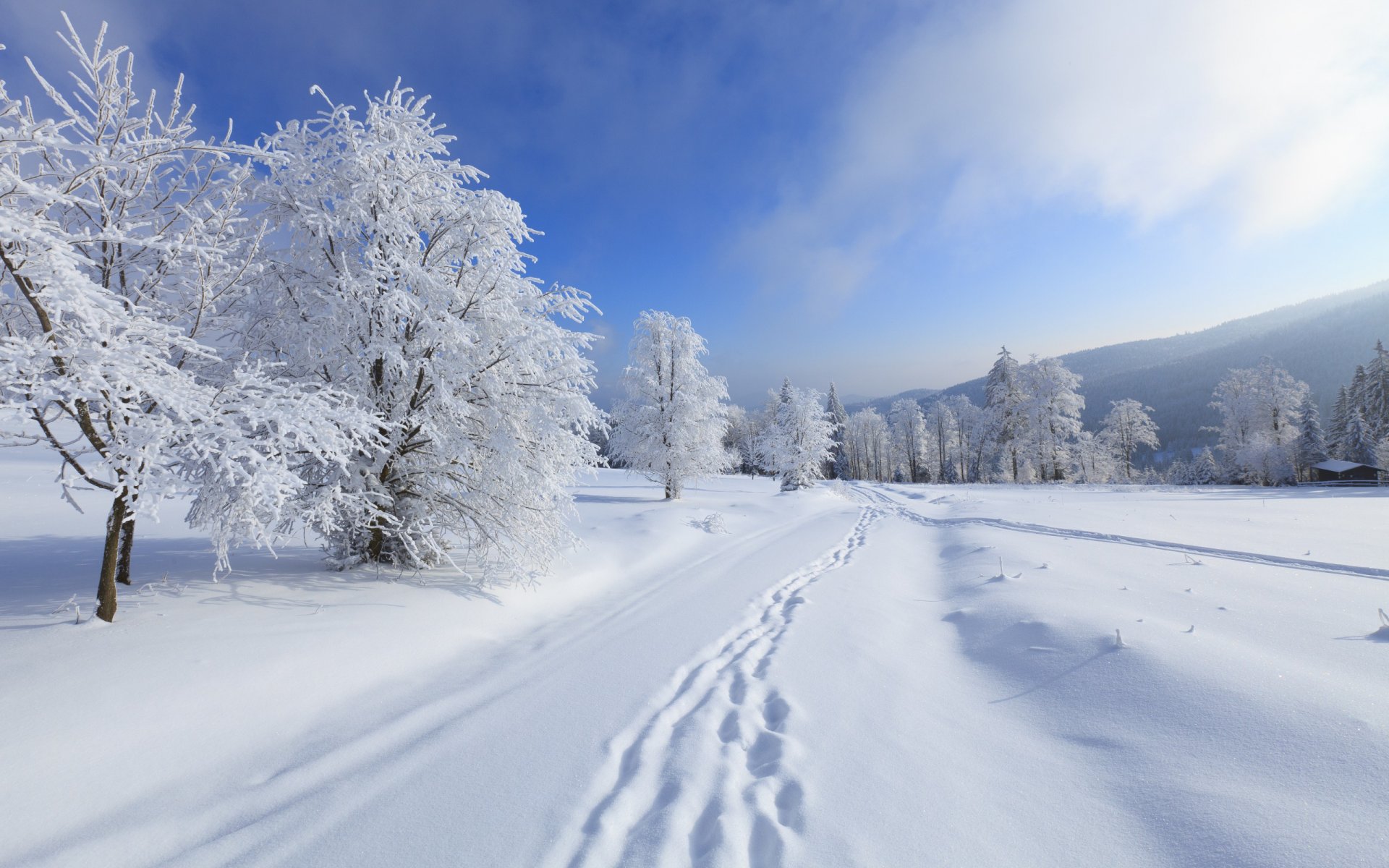 nature landscape snow winter mountain sky clouds tree