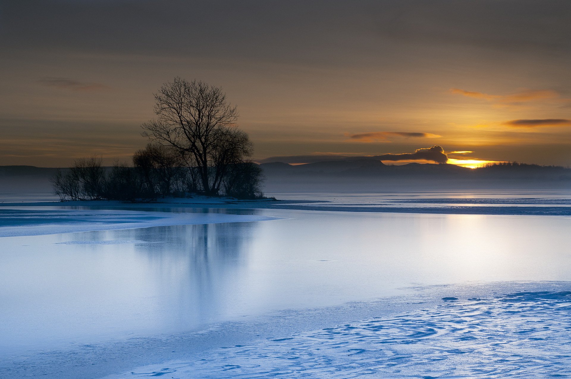 lac arbre coucher de soleil paysage