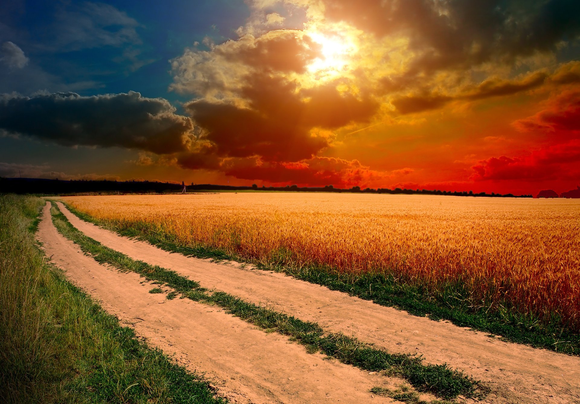 unset sun sky clouds the field ears grass road path nature