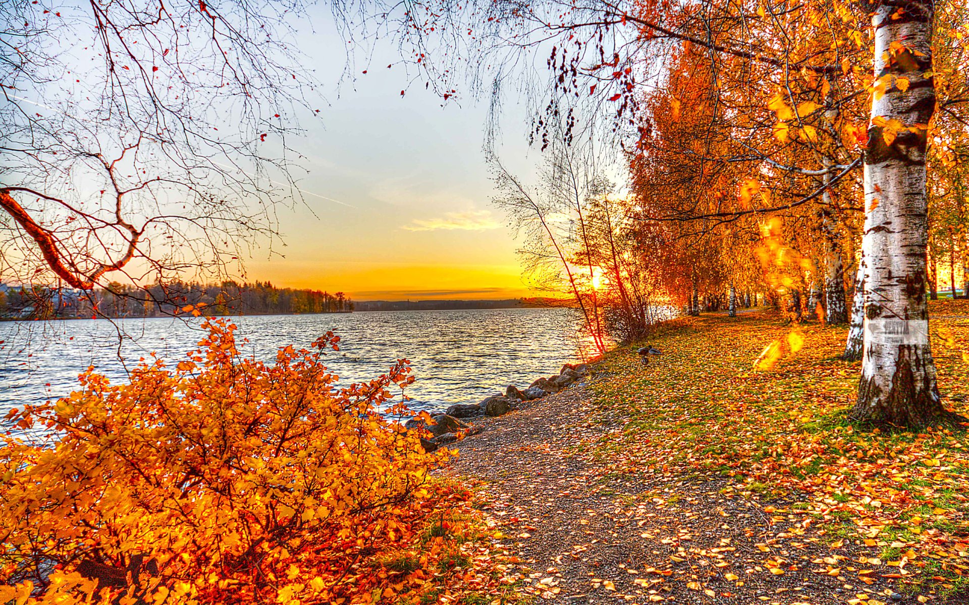 nature paysage automne feuilles lac arbres coucher de soleil