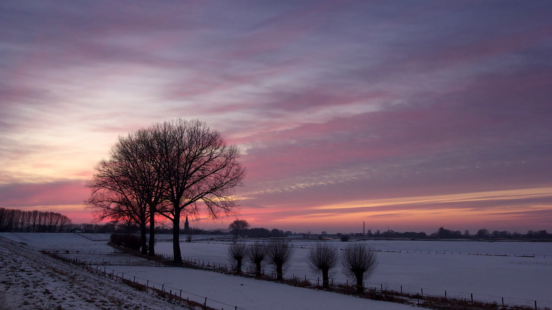 sonnenuntergang winter feld bäume natur landschaft