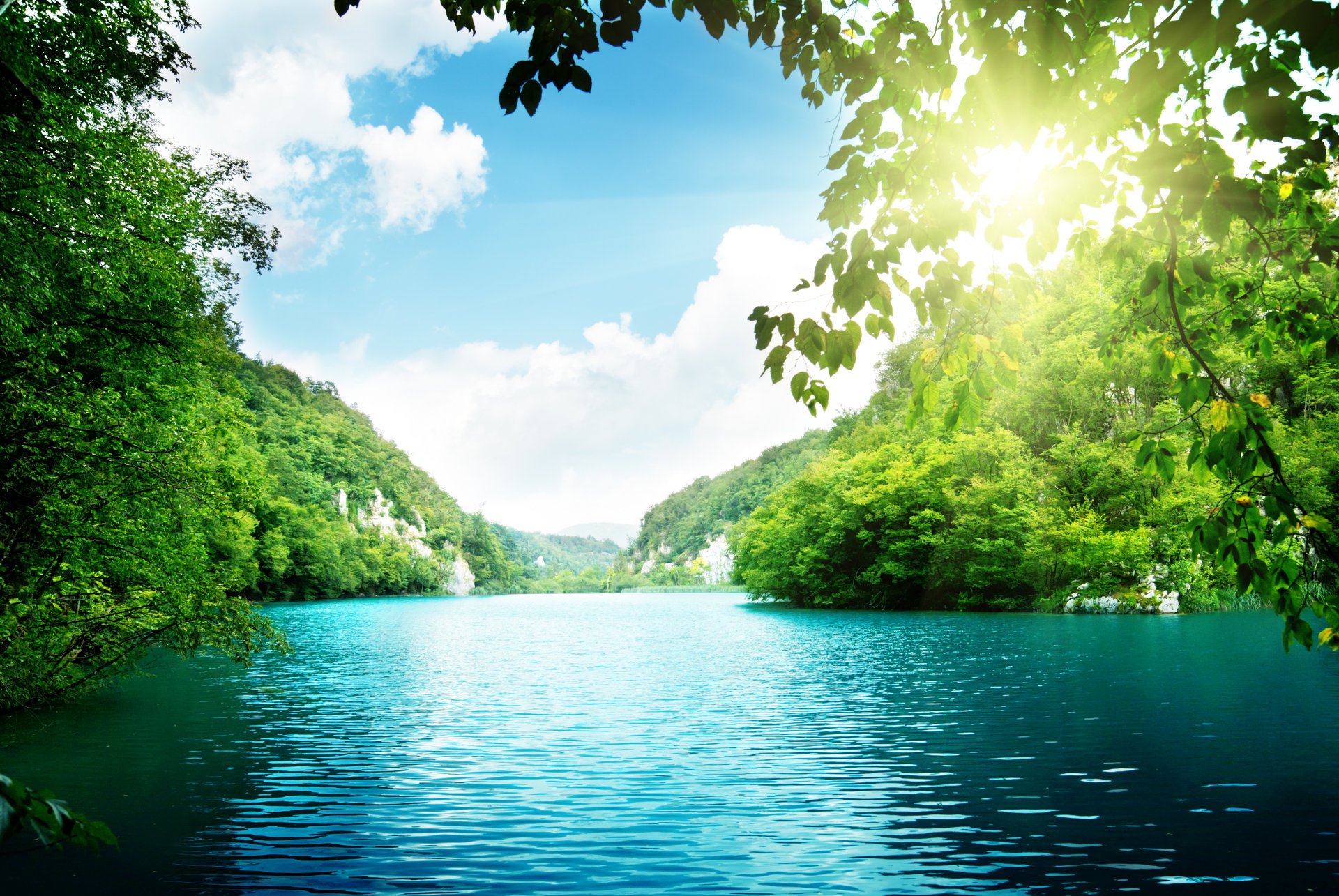 lago árboles bosque profundo mar cielo nubes hermosa naturaleza paisaje bosque denso luz del sol