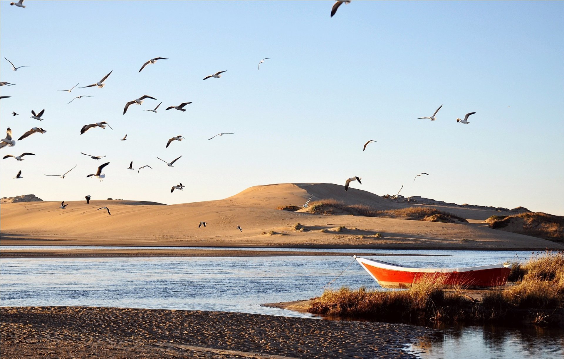 acqua barca fiume dune sabbia incagliato uccelli