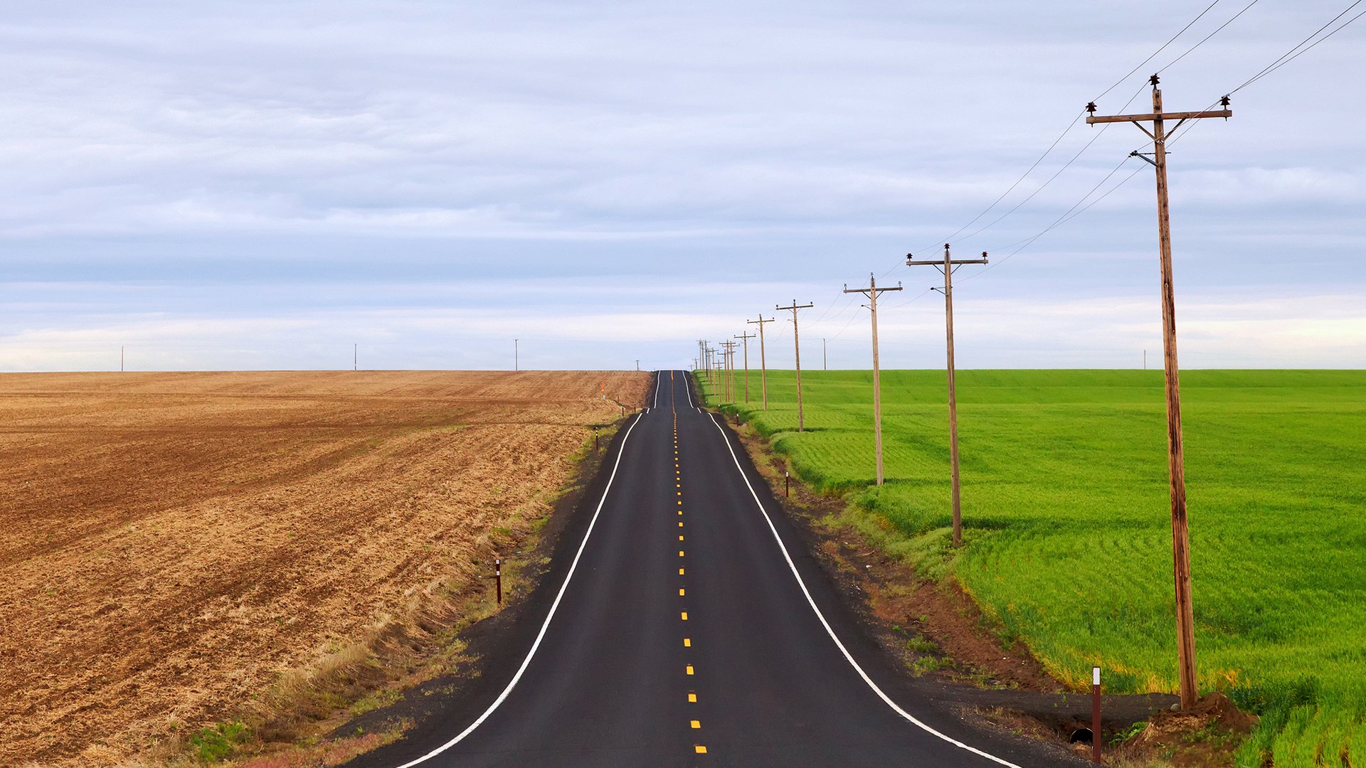 camino campos vegetación dos pilares