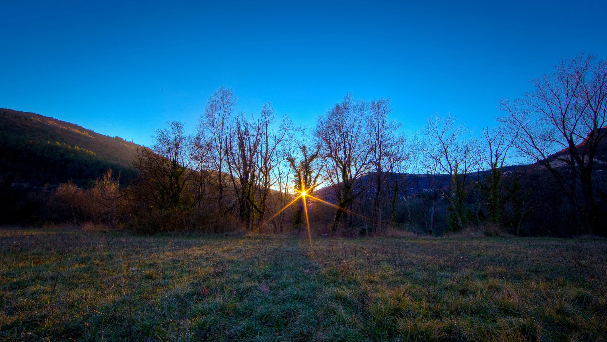 bosque árboles ramas césped claro hierba montañas colinas pendientes distancia horizonte cielo puesta de sol luz rayos vegetación