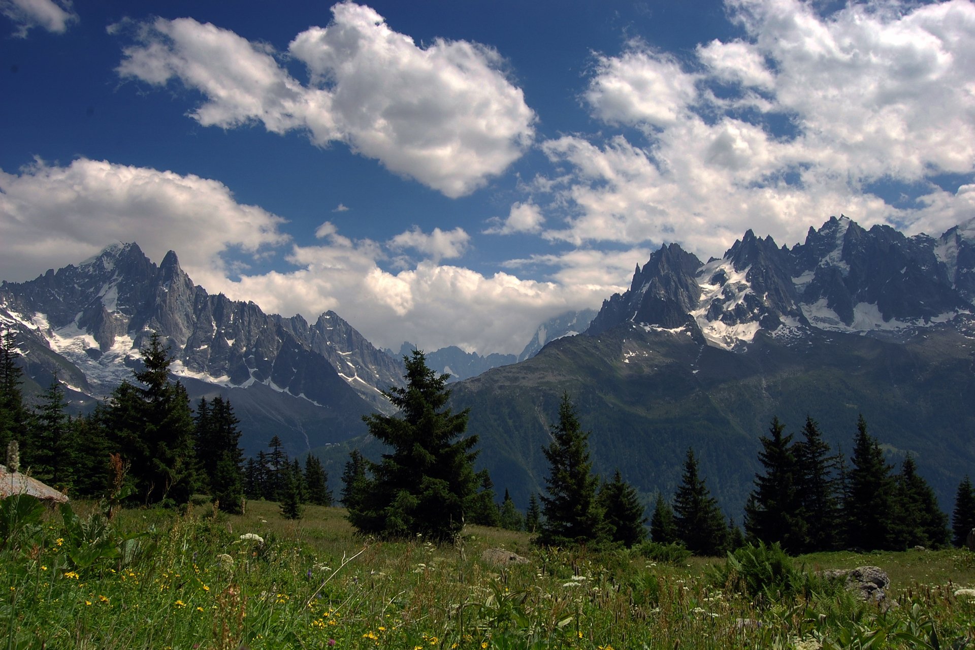 alps summer mountain tops meadows grass flower forest sky cloud