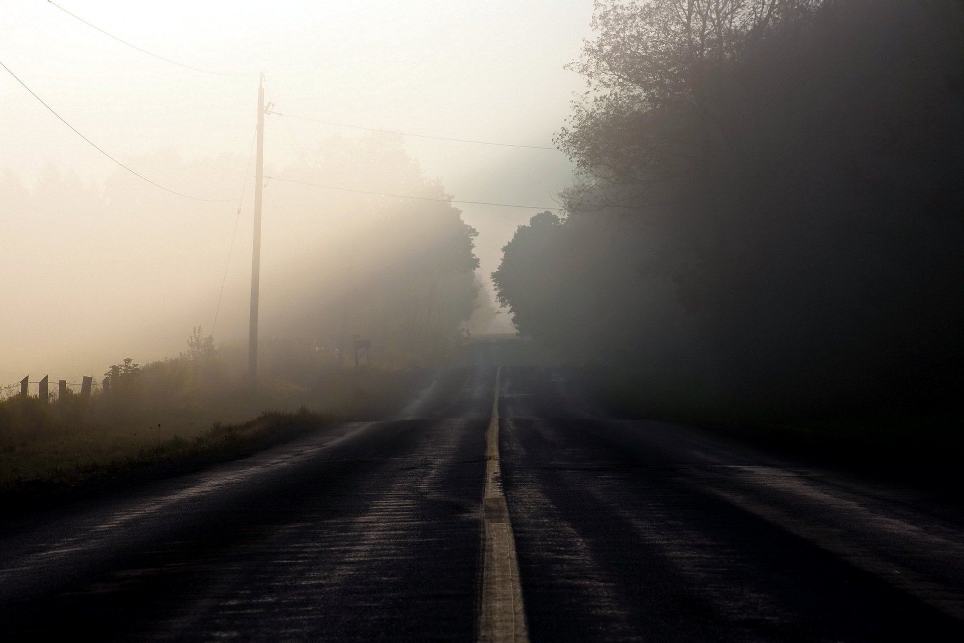 straße morgen nebel landschaft