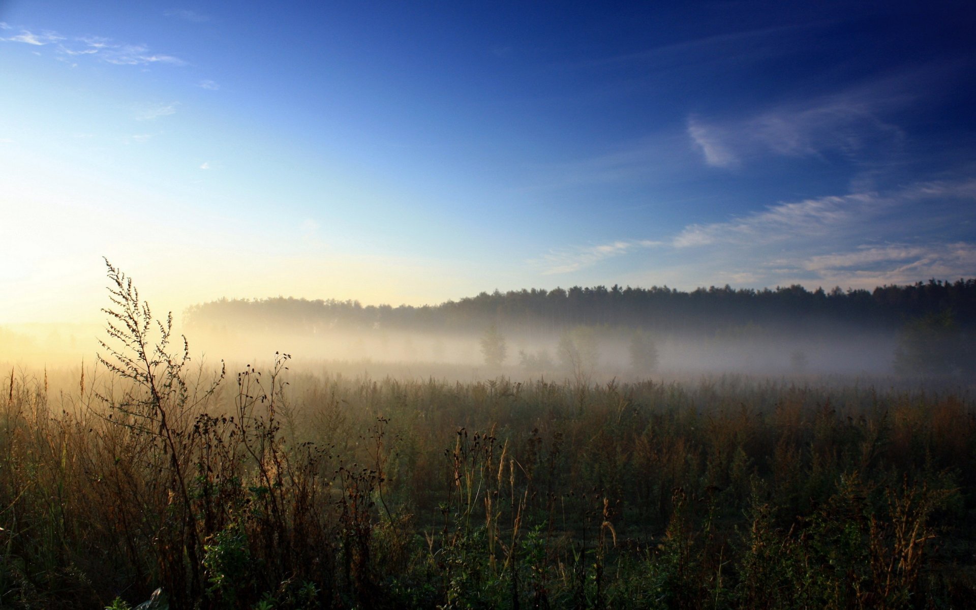 campo llano dal cielo hierba verdor vegetación amanecer naturaleza luz rayos niebla mañana