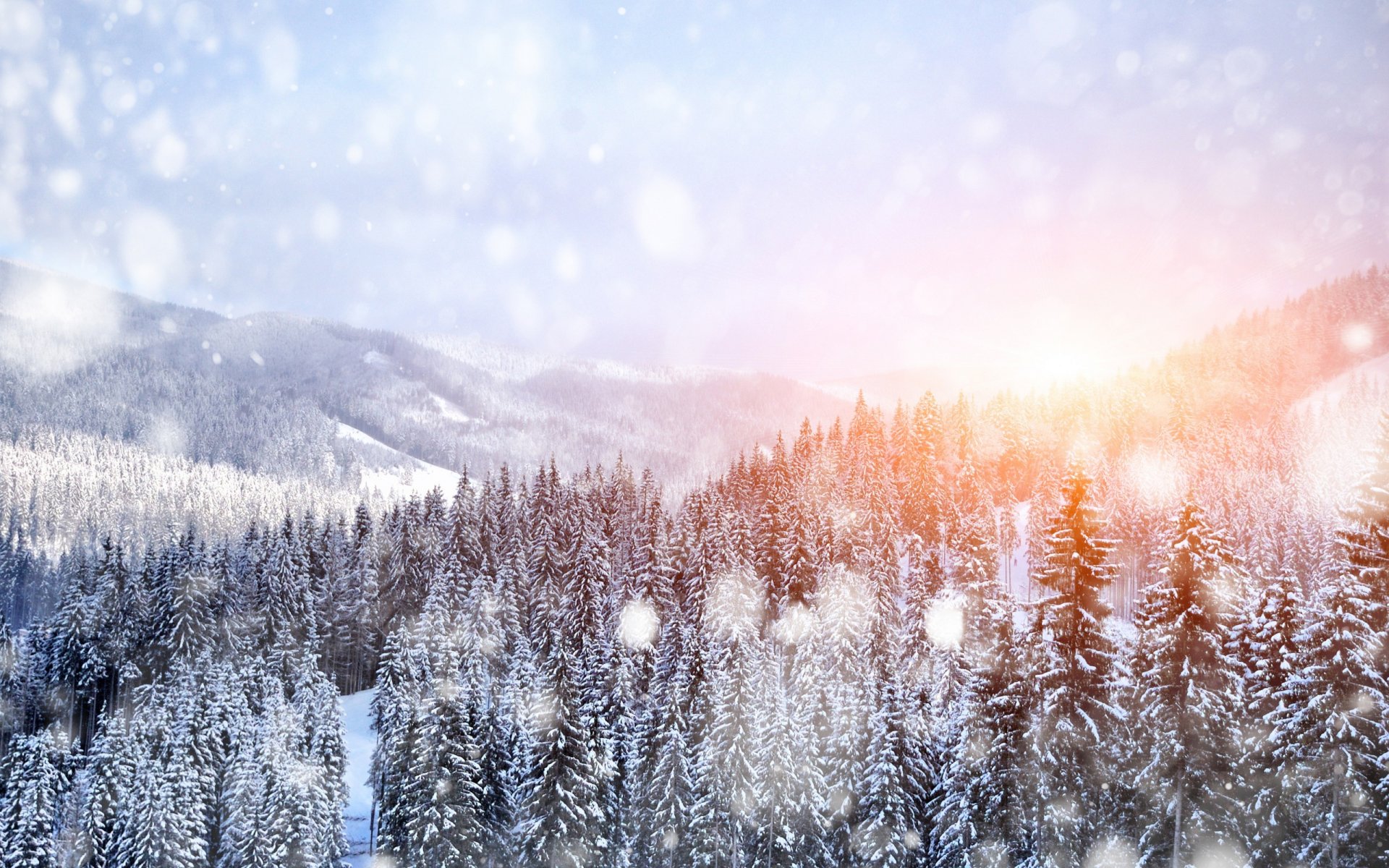 naturaleza paisaje árboles invierno nieve montañas