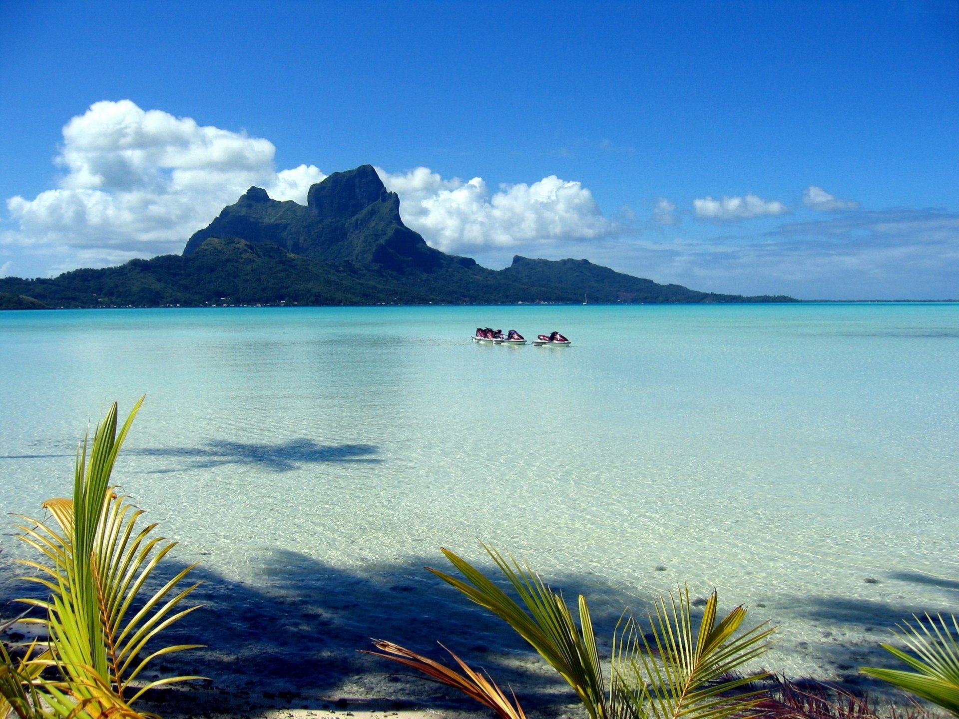 polynesien meer himmel wolken palmen blätter küste