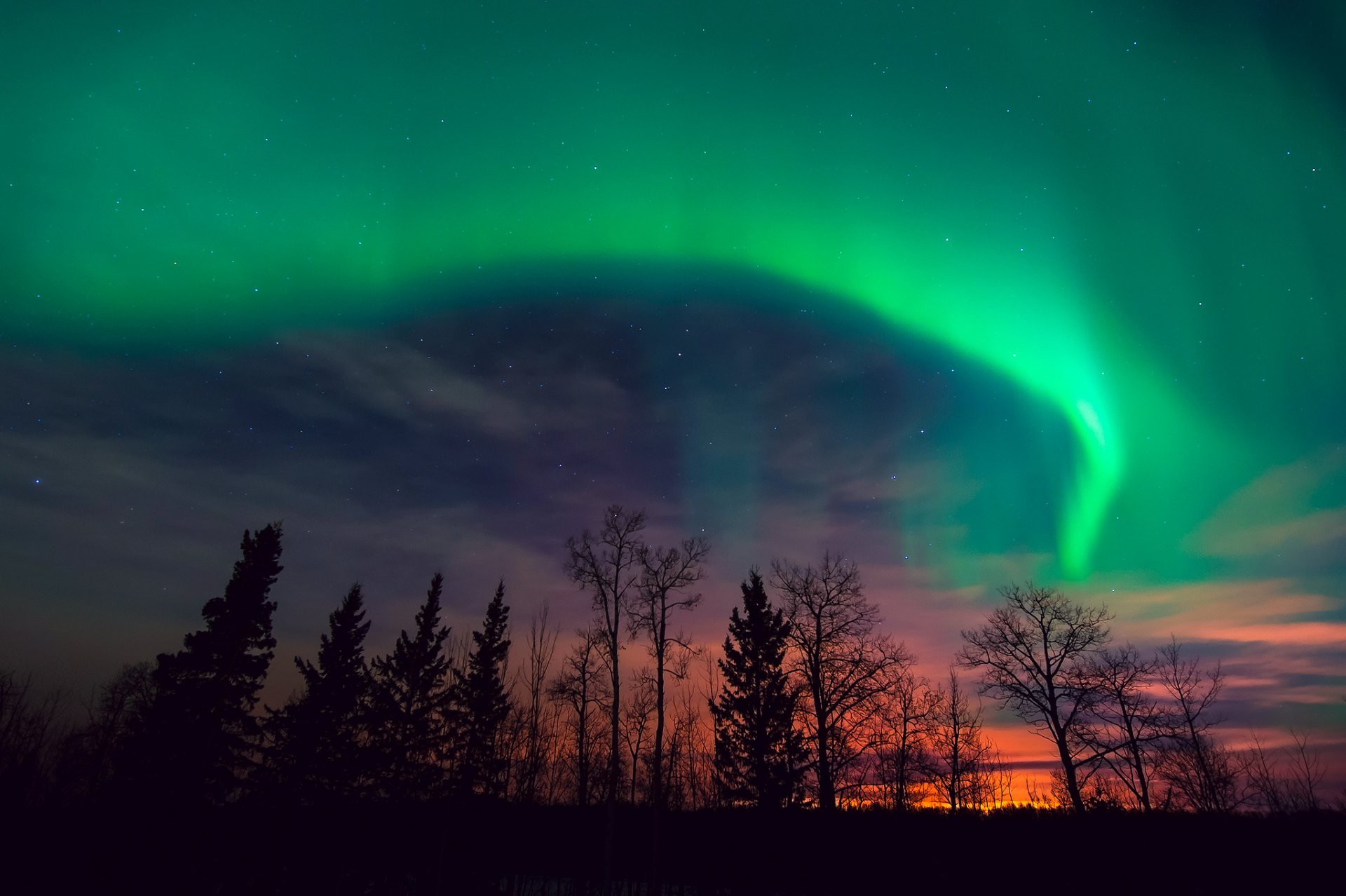 nuit ciel étoiles aurores boréales coucher de soleil arbres