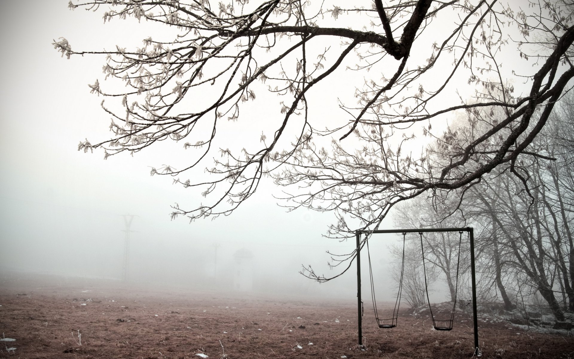 winter schaukel nebel