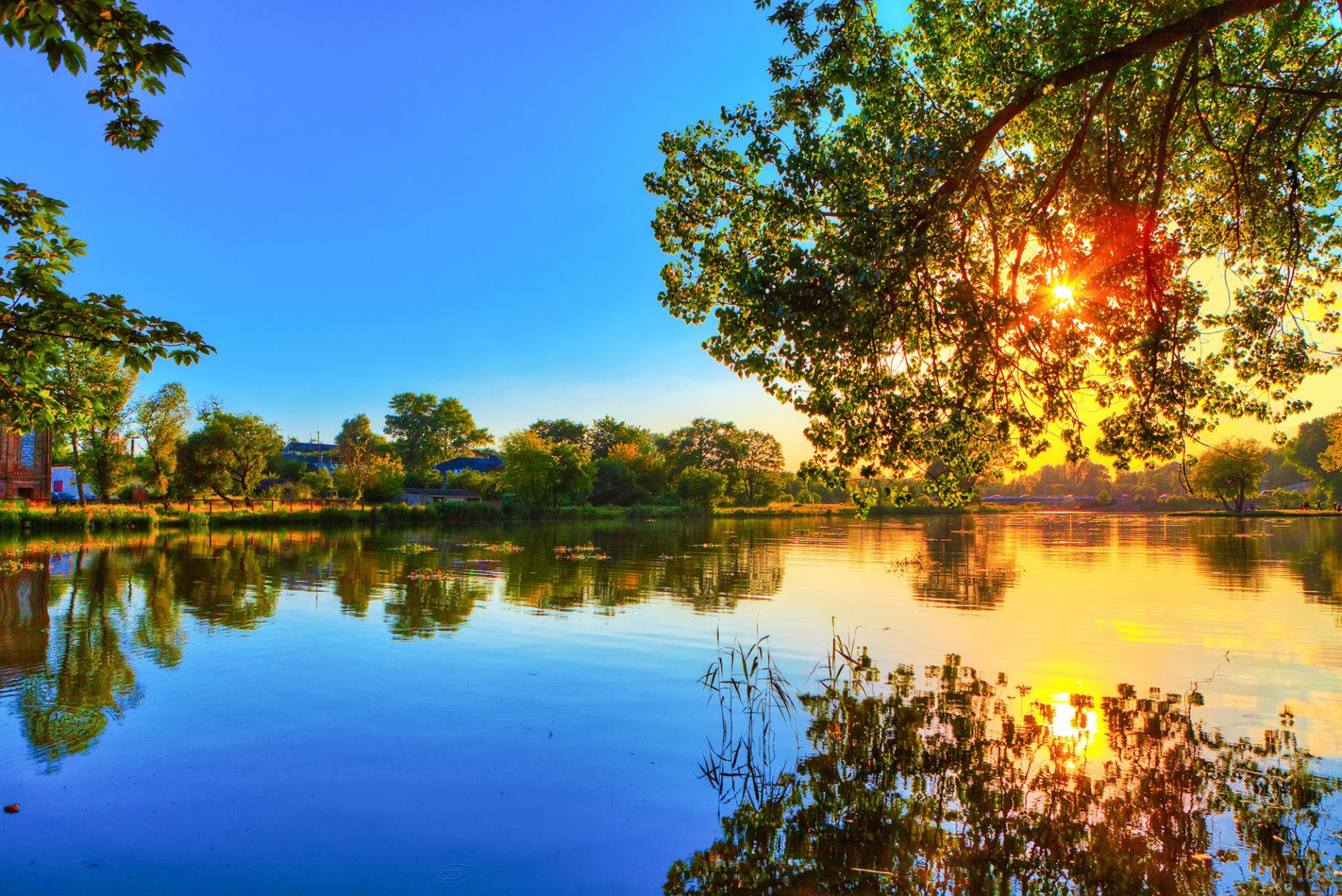 fluss wasser oberfläche reflexion wald bäume natur ufer sonne licht strahlen zweige frühling warm blau himmel