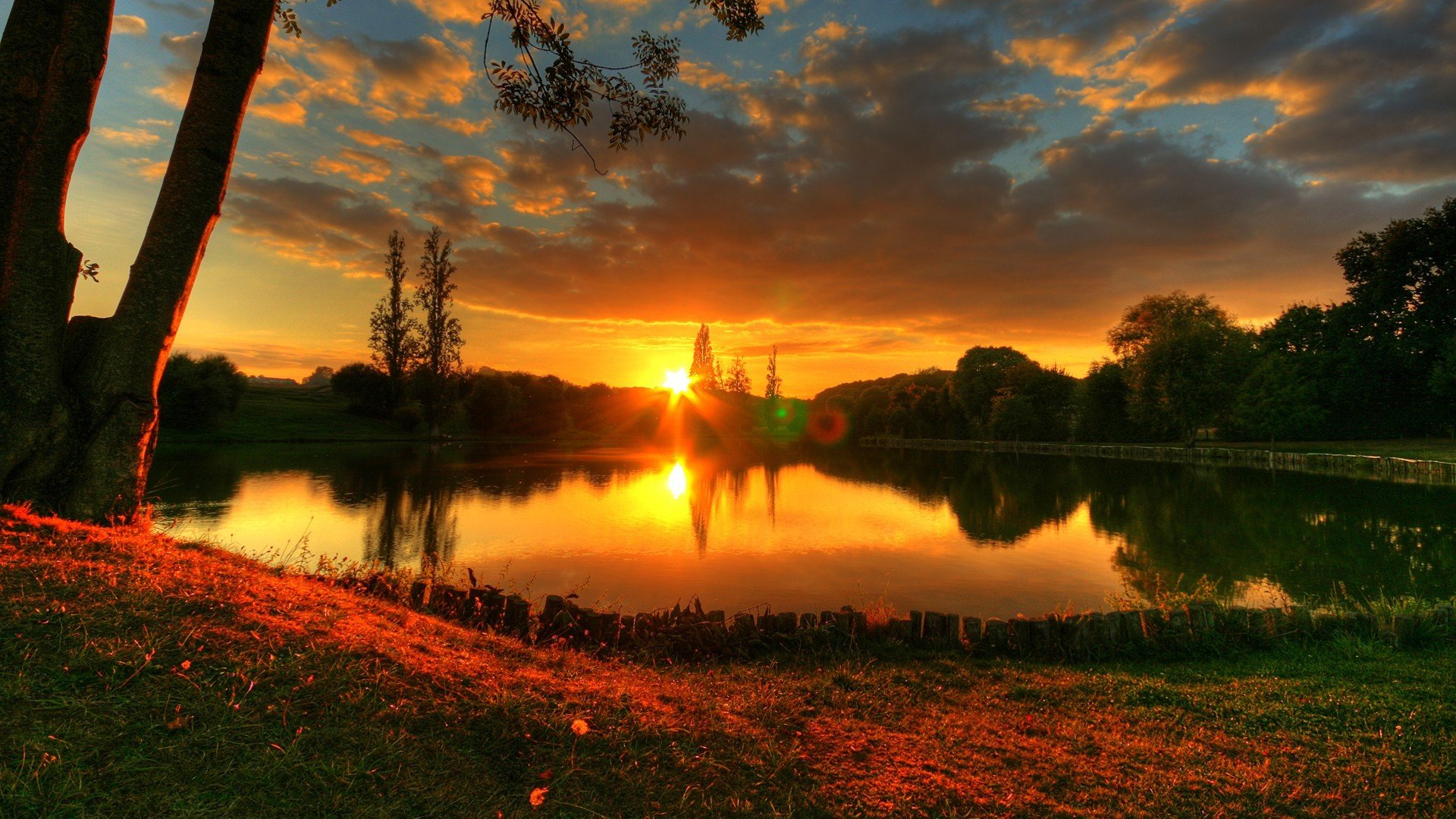 été nature lac coucher de soleil arbres