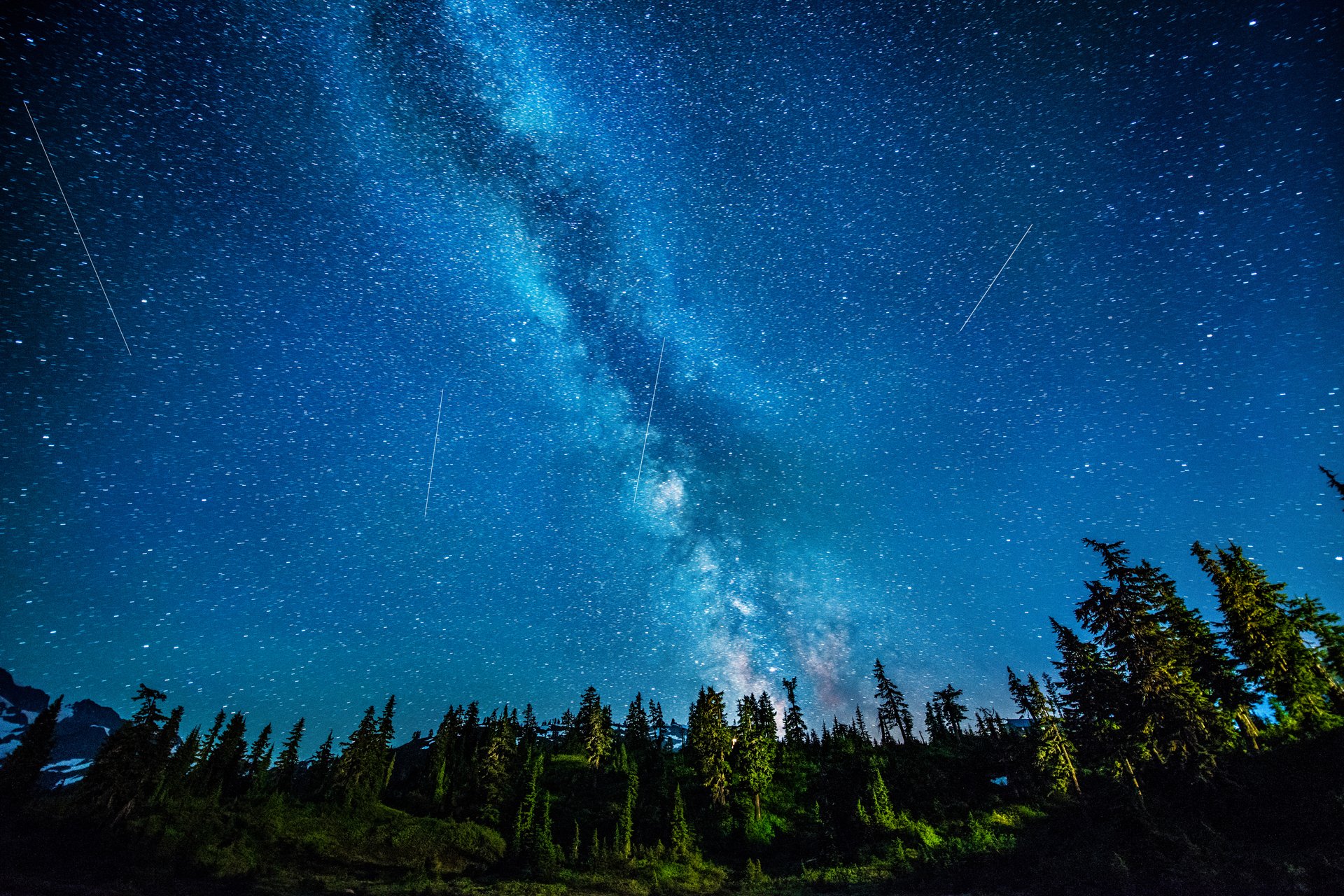 noche estrellas vía láctea bosque