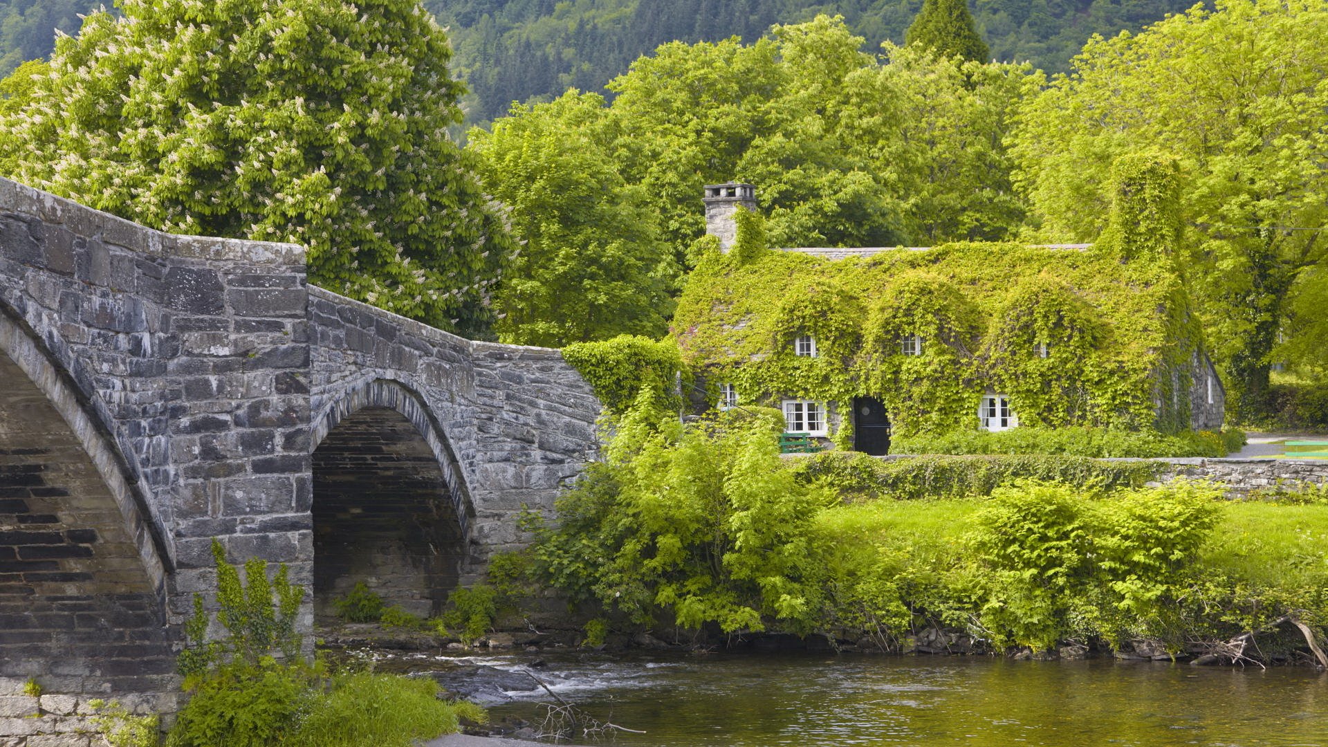 lovely day bridge river house to bank full in the green