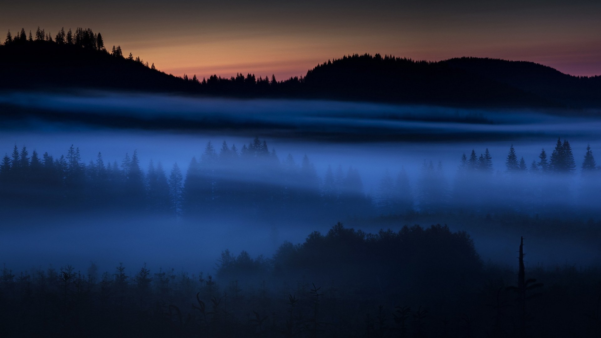 nuit champ brouillard paysage