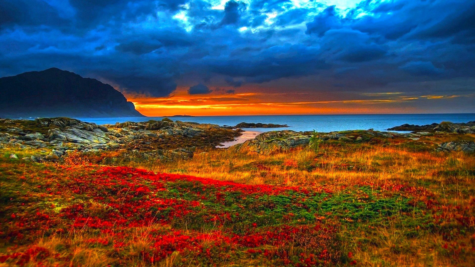 coast beach mountain rock grass flower ocean horizon sky clouds dawn sunset