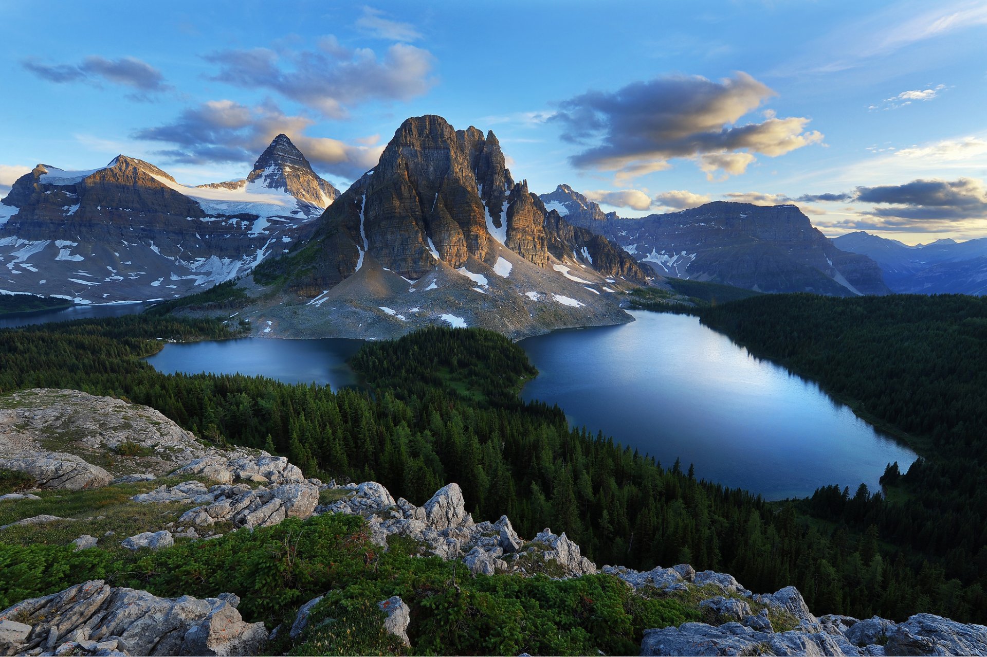 montañas bosque piedras