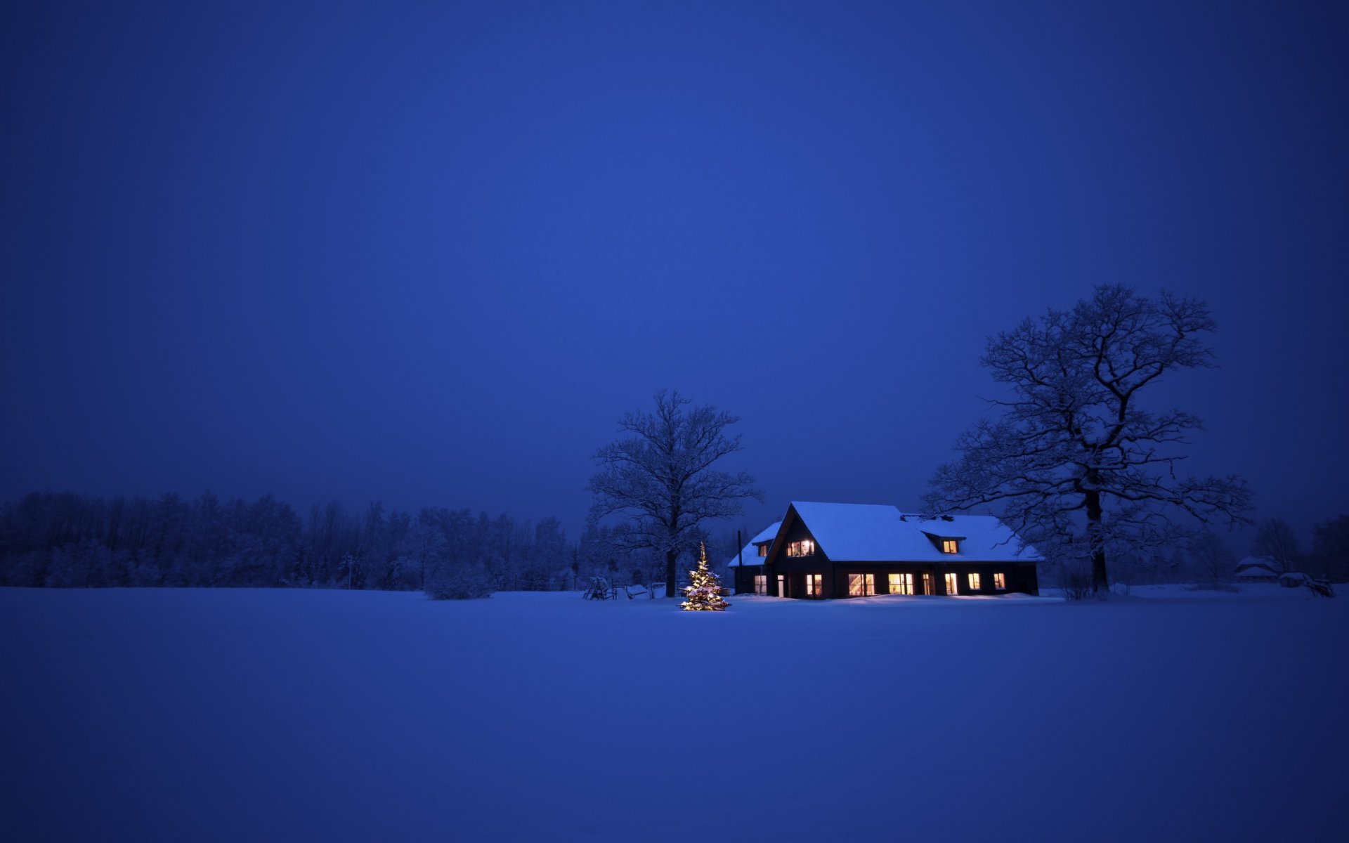 natura paesaggio neve alberi inverno casa notte natale capodanno