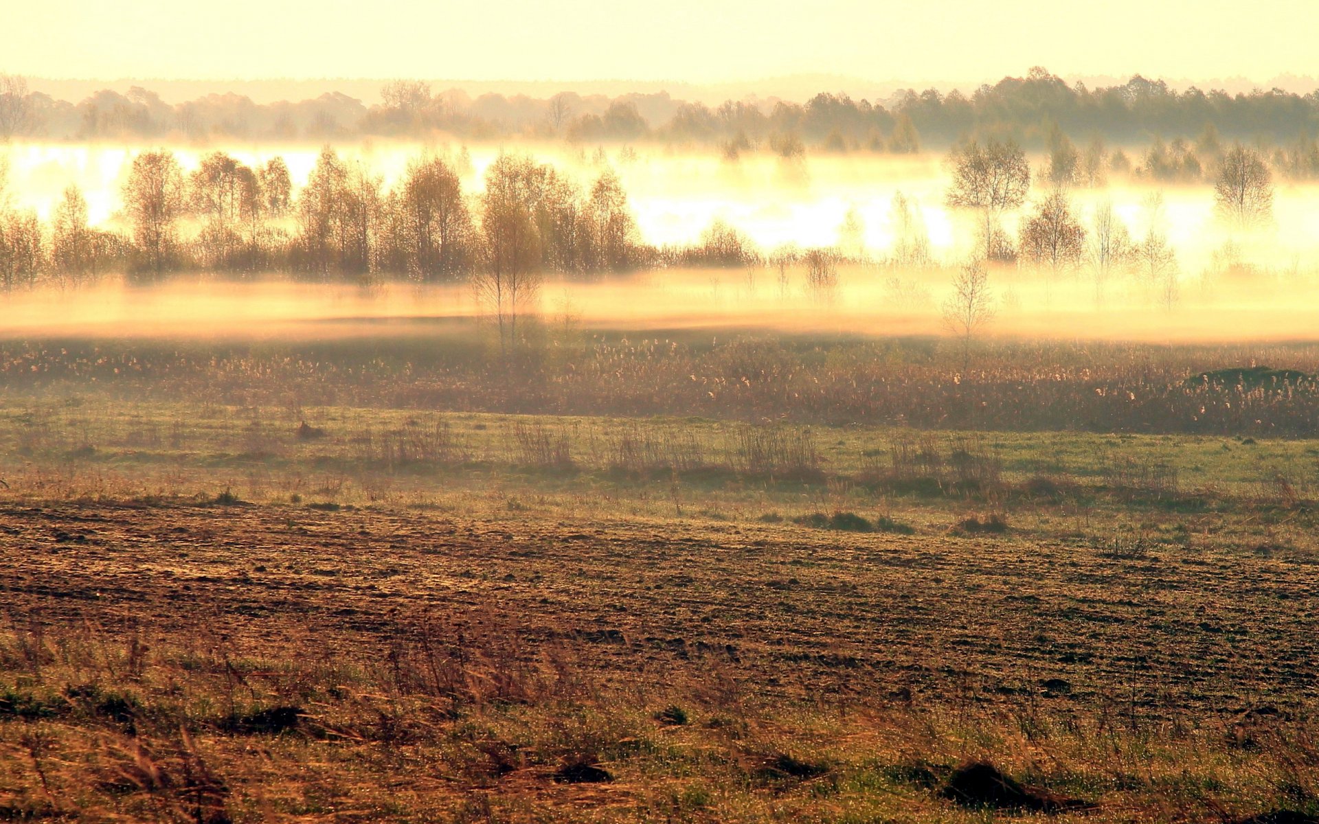 pole mgła poranek natura krajobraz