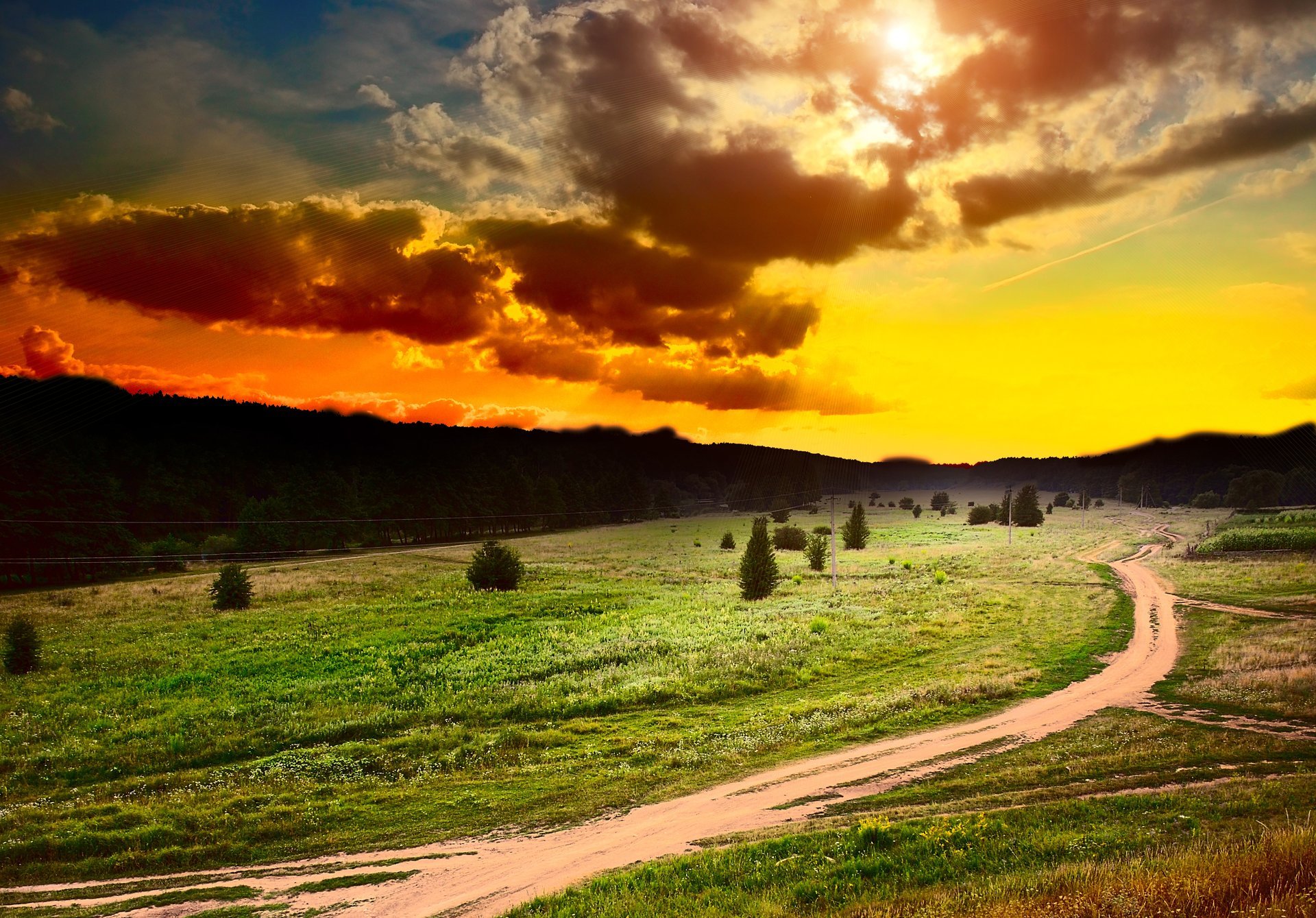 puesta de sol sol cielo nubes nubes campo bosque árboles hierba plantas flores caminos camino