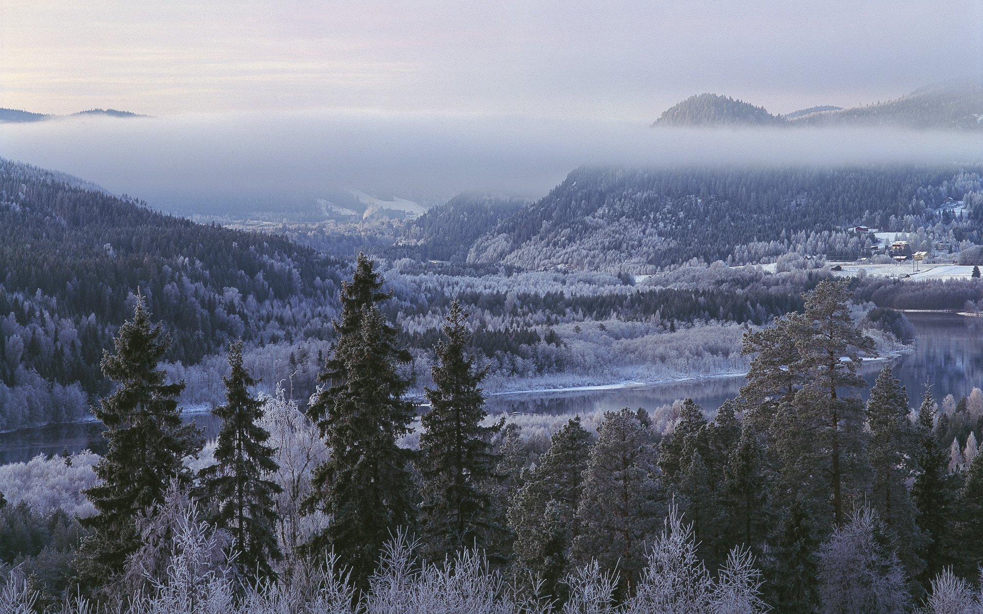 lien jämtland suède hiver forêt arbres montagnes