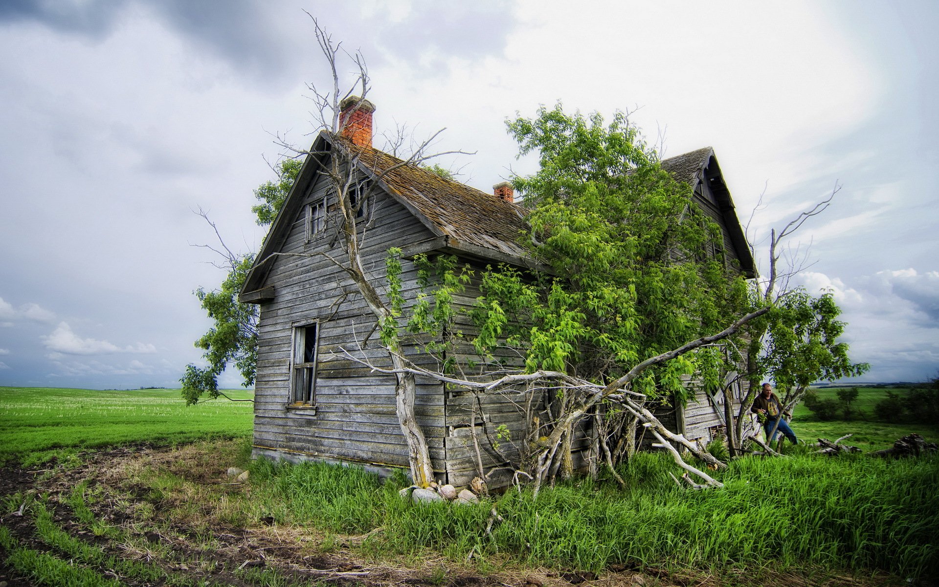 champ maison paysage