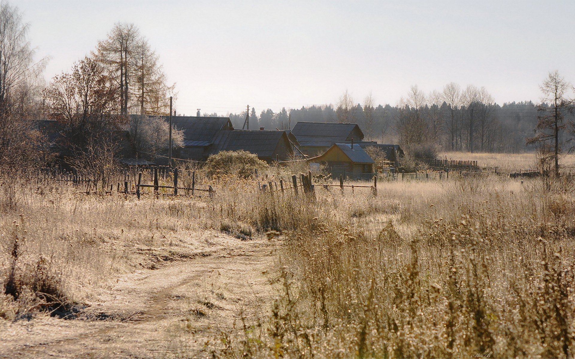 деревня поле дома осень